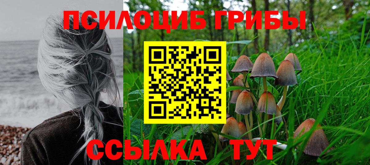 Псилоцибиновые грибы Cubensis Протвино