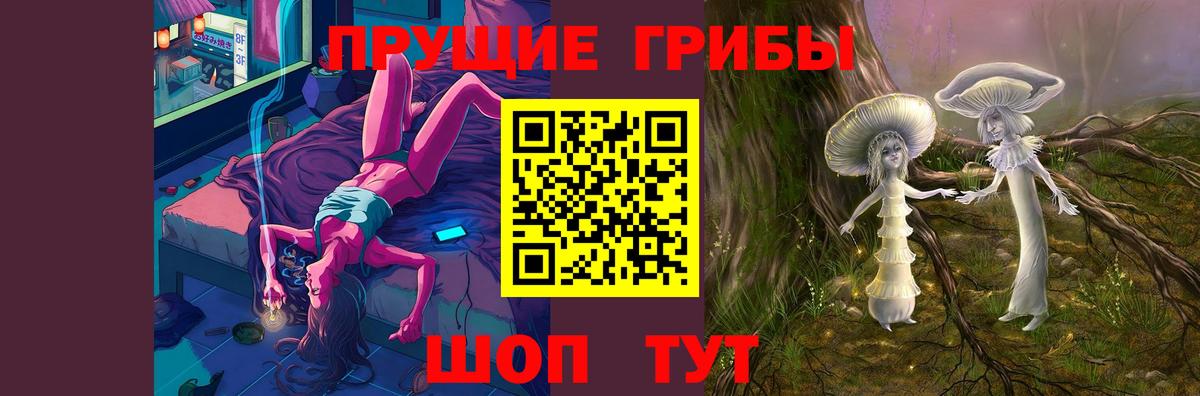 Псилоцибиновые грибы Magic Shrooms  где купить наркотик  Псилоцибиновые грибы GOLDEN TEACHER  Протвино  Вход с VPN 