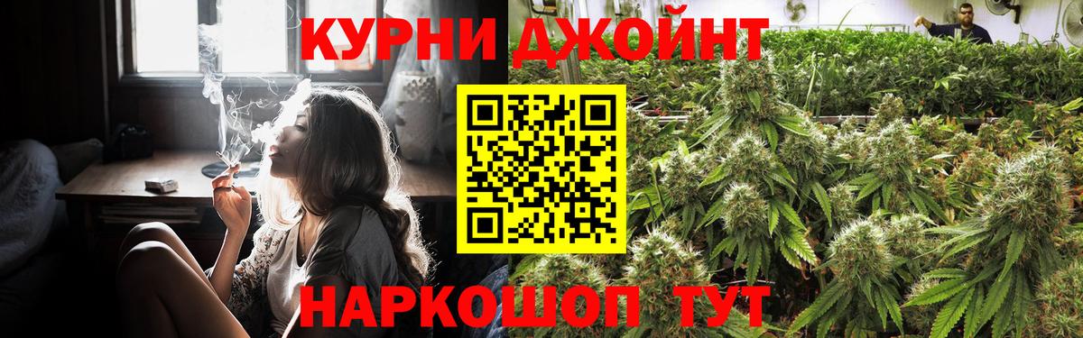 Конопля сатива Протвино